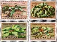 Ангола  1959 «100-летие открытия растения вельвичия»