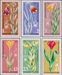 Болгария  1978 «Охраняемые растения (семейство лилейных)»