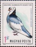 Венгрия  1969 «Международная выставка голубей в Будапеште»