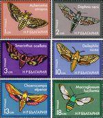 Болгария  1975 «Ночные бабочки»