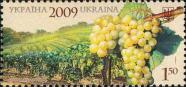 Гроздь винограда сорта «Сухолиманский белый» на фоне виноградника