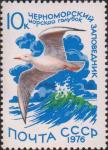 Черноморский заповедник (Украинская ССР). Морской голубок 