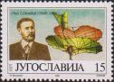 Отто Лилиенталь (1848-1896), немецкий инженер, один из пионеров авиации. Летательный аппарат