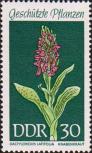 Ятрышник широколистный (Dactylorchis latifolia)