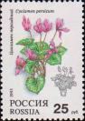 Цикламен персидский (Cyclamen persicum)
