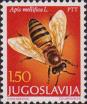 Пчела медоносная (Apis mellifica)
