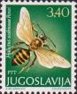 Дикая пчела (Halictus scabiosa)
