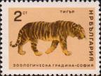 Тигр (Panthera tigris)