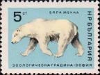 Белый Медведь (Ursus maritimus)