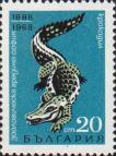 Крокодил (Crocodylus sp)