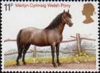 Уэльский пони