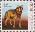 Иберийский волк (Canis lupus signatus)