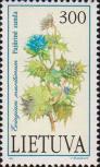 Синеголовник приморский (Eryngium maritimum)