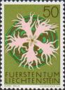 Гвоздика пышная (Dianthus superbus)