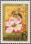 Пчела на цветке яблони и соты. Памятный текст
