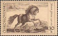 Голландский художник Хендрик Голтциус (1558-1617). Скачущий конь. Гравюра на меди (1578 г.) по рисунку бельгийского художника Яна ван дер Страета (1523-1605)