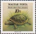 Европейская болотная черепаха (Emys orbicularis)