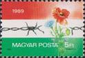 Разорванная колючая проволока, цветок, флаг Венгрии