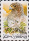 Орёл-карлик (Hieraaetus pennatus)