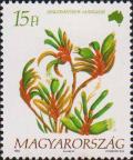 Анигозантос Мэнглза (Anigozanthos manglesii)