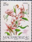 Лилия прекрасная (Lilium speciosum)