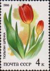 Тюльпан Шренка (Tulipa schrenkii)