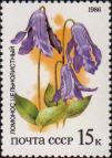 Ломонос цельнолистный (Clematis integrifolia)