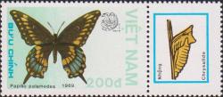 Papilio palamedes