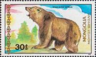 Сирийский бурый медведь (Ursus arctos syriacus)