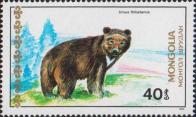 Гималайский медведь (Ursus thibetanus)