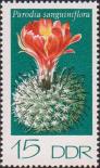 Кроваво-цветковая пародия (Parodia sanguiniflora)