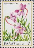 Фиалка длинношпорцевая (Viola delphinantha)