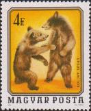 Бурые медвежата (Ursus arctos)