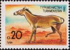 Кулан (Equus hemionus)
