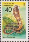 Королевская кобра (Ophiophagus hannah)
