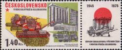 Зерновое хозяйство: уборка урожая советскими комбайнами «Колос», элеватор