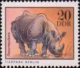Индийский носорог (Rhinoceros unicornis). Берлин