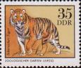 Уссурийский тигр(Panthera tigris altaica)