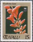 Эритрина бурая (Erythrina fusca)
