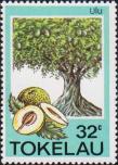 Хлебное дерево (Artocarpus communis)