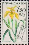 Ирис ложноаирный (Iris pseudacorus)