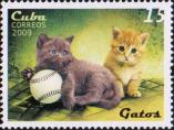 Два котенка с бейсбольным мячом