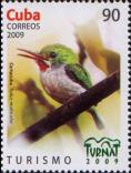 Кубинский тоди (Todus multicolor)