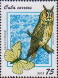 Ушастая сова (Asio otus), боярышница (Aporia crataegi)