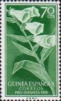 Наперстянка пурпурная (Digitalis purpurea)
