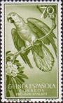 Серый попугай (Psittacus erithacus)