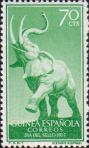 Саванный слон (Loxodonta africana)