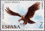 Могильник (Aquila heliaca)
