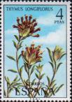 Тимьян (Thymus longiflorus)