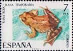Травяная лягушка (Rana temporaria)